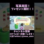 写真周回！開封動画！！＠ツバクロ 　　#あつ森 #あつまれどうぶつの森 #ゲーム実況