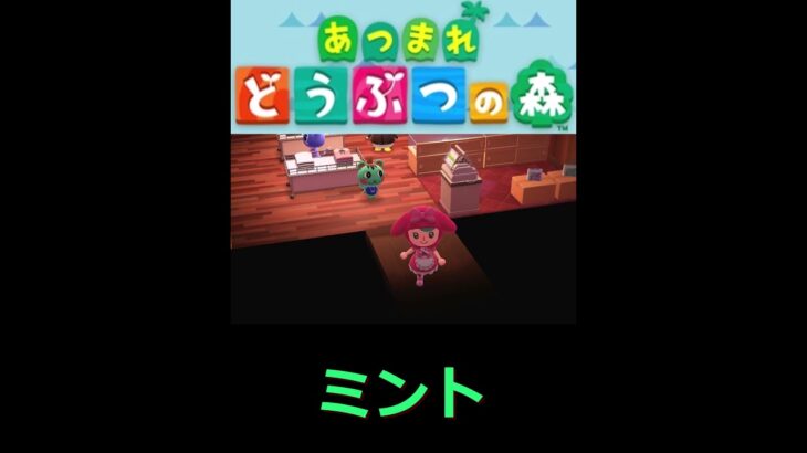 アパレルショップ”入店”店長”ミント”【あつまれどうぶつの森　ハッピーホームパラダイス】※フェス