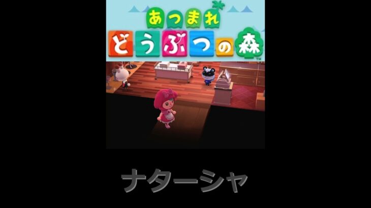 アパレルショップ”入店”店長”ナターシャ”【あつまれどうぶつの森　ハッピーホームパラダイス】