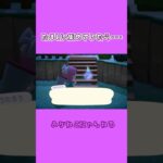 【あつ森】たましい集めしていたら〇〇に遭遇・・・！