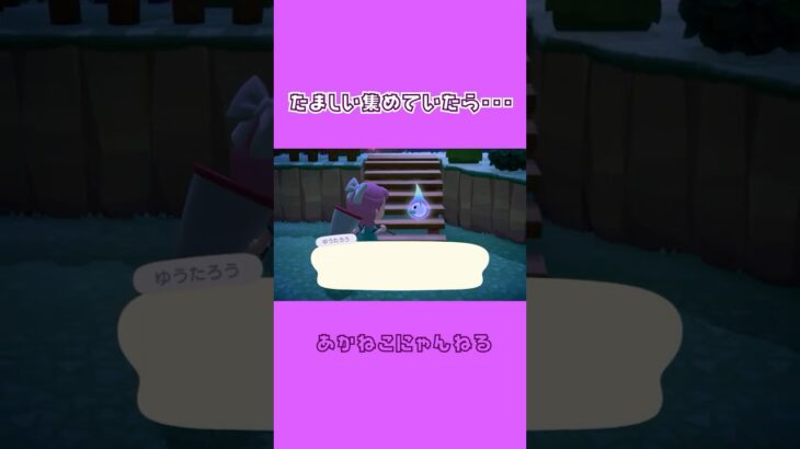 【あつ森】たましい集めしていたら〇〇に遭遇・・・！