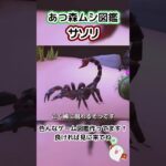【あつ森】ムシ図鑑 サソリ♏