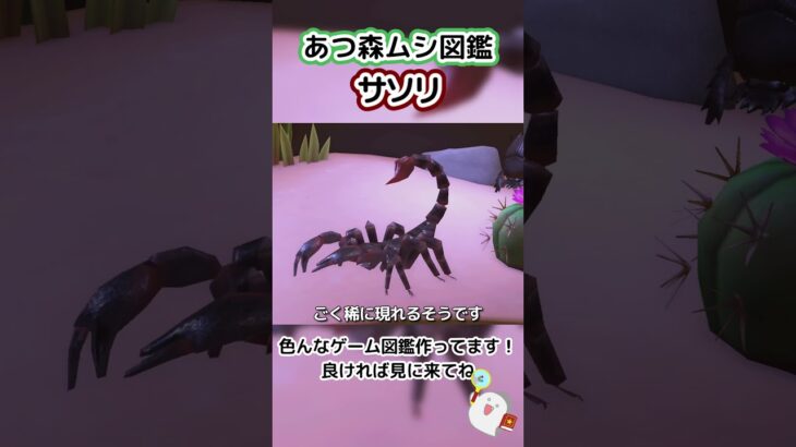 【あつ森】ムシ図鑑 サソリ♏