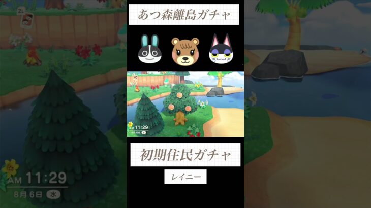 【あつ森】初期住民厳選⑰性格固定ガチャ５連#あつ森 #あつまれどうぶつの森 #離島ガチャ