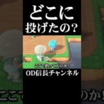 どこに投げたの？【あつ森】