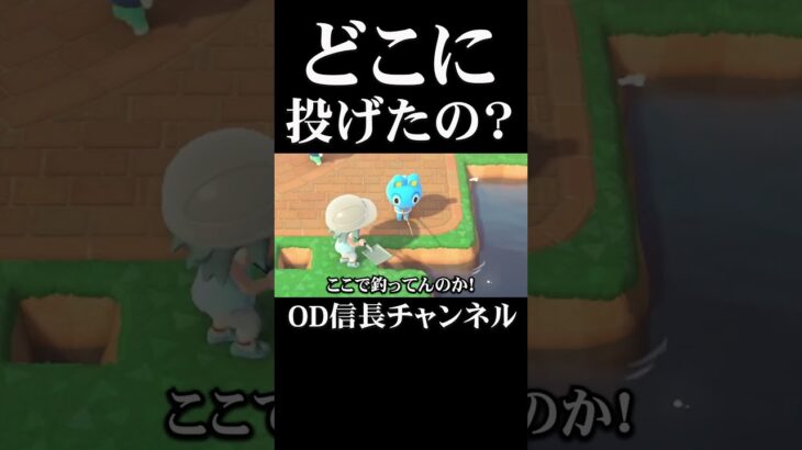 どこに投げたの？【あつ森】