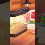 【あつ森】スズキの研究をするちゃちゃまる🐟