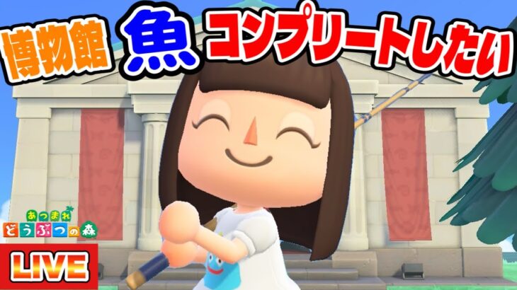 【あつ森】博物館に寄贈してない魚をとっつかまえる生配信【あつまれどうぶつの森】