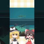 【あつ森】あつ森水族館【ゆっくり実況】