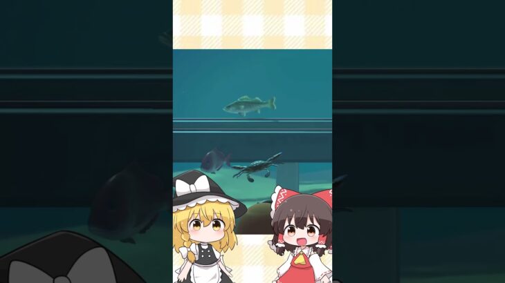 【あつ森】あつ森水族館【ゆっくり実況】