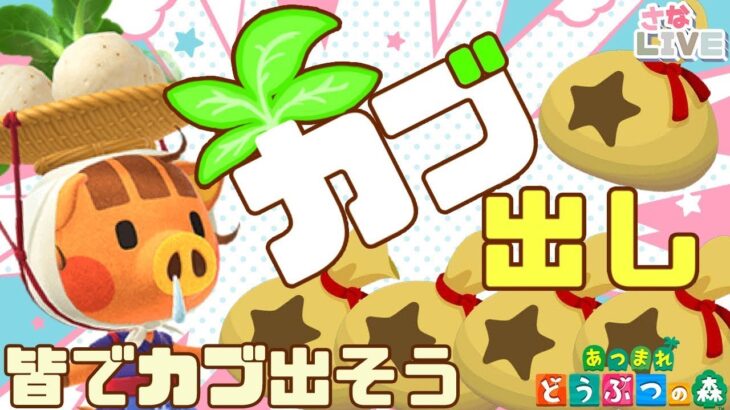 【あつ森】カブ価厳選｜カブ価を高騰させよう｜ライブ【あつまれどうぶつの森】