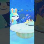 【あつ森】のんびり過ごす水族館カフェ☕️🐟