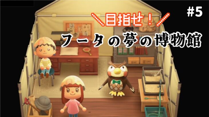 【あつ森】博物館設立のために準備します🫡　#あつ森 #はなまこ #ゲーム実況 #ママ友