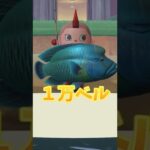 ヤバ！！レア魚が連れすぎる！！【あつ森】