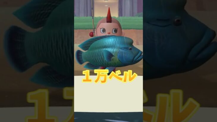ヤバ！！レア魚が連れすぎる！！【あつ森】