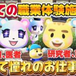 【あつ森アニメ】初めてのお仕事体験施設へ！ピザ作りに手術、そしてあの憧れの職業も！【あつまれどうぶつの森】