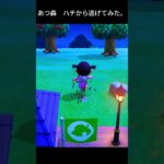 あつ森　ハチから逃げてみた。