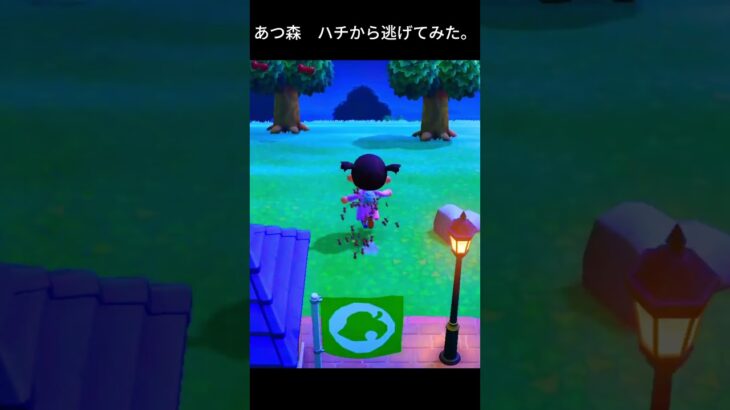 あつ森　ハチから逃げてみた。