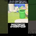 【あつ森】　見えなくなった代表　　　　　　　　　　　　　　　　　　　 #ゆっくり実況 #あつ森 #あつまれどうぶつの森