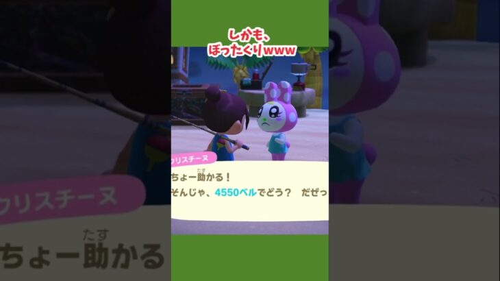 【あつ森】推しのお願いは聞いてしまうのは仕方がないよね！ #あつ森 #あつ森日記 #あつまれどうぶつの森