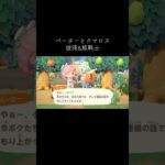 #ペーター#クマロス#あつ森 #あつまれどうぶつの森 #動物森友會 #動森#彼得#熊戰士