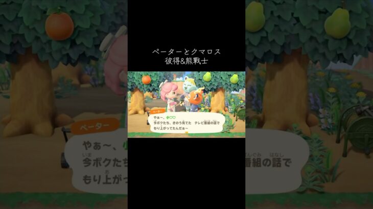 #ペーター#クマロス#あつ森 #あつまれどうぶつの森 #動物森友會 #動森#彼得#熊戰士