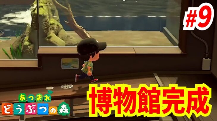 【あつもり】あつまれどうぶつの森　実況プレイ　博物館完成　#９