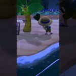 【あつ森】貴重なヨナグニサンに逃げられる！【あつまれどうぶつの森】 #あつ森 #あつまれどうぶつの森