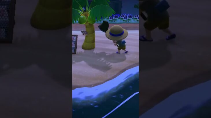 【あつ森】貴重なヨナグニサンに逃げられる！【あつまれどうぶつの森】 #あつ森 #あつまれどうぶつの森