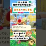 【あつ森 住民の変な会話集①】 元気系✖️元気系