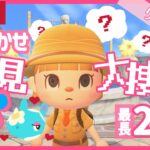 おまかせ夢見大捜索リターンズ！前編【あつまれどうぶつの森】【生配信】