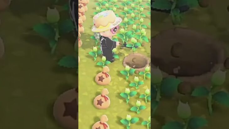 【あつ森】　ジョイコンが壊れた…　　　　　　　　　　　　　　　　　　　　　　　　 #ゆっくり実況 #あつ森 #あつまれどうぶつの森