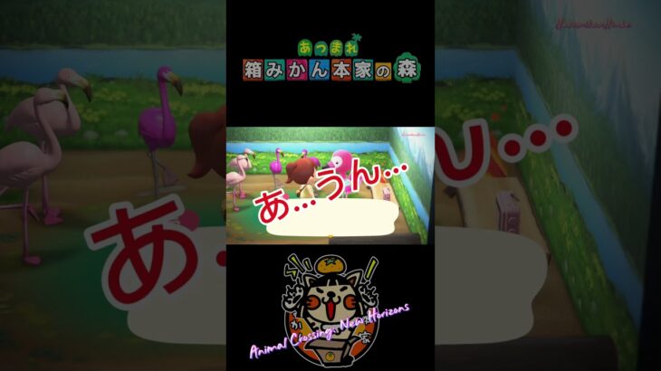 【あつ森】どんなイメージ？