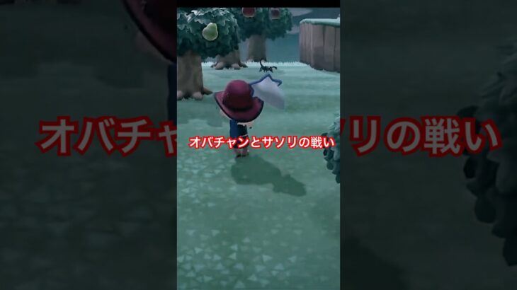 オバチャンとサソリの戦い #ゲーム実況 #あつ森 #あつまれどうぶつの森