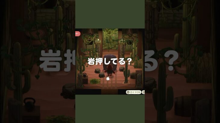 ゴリラの修行。🪨💥【あつ森｜ハッピーホームパラダイス】