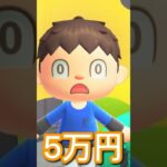 わが家のヤバすぎる夏休み #あつ森 #あつまれどうぶつの森 #ゲーム #あつ森アニメ