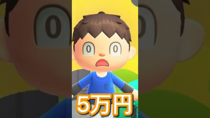 わが家のヤバすぎる夏休み #あつ森 #あつまれどうぶつの森 #ゲーム #あつ森アニメ