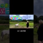 あつ森界隈