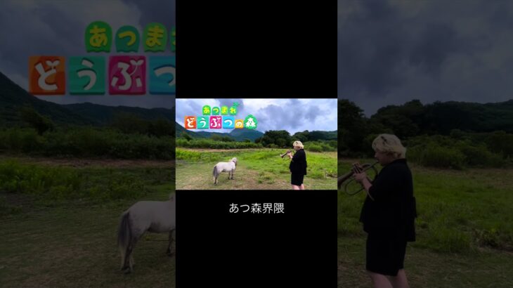 あつ森界隈
