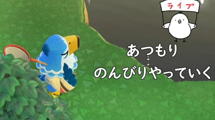 【配信】のんびりあつ森やっていく【あつまれどうぶつの森】