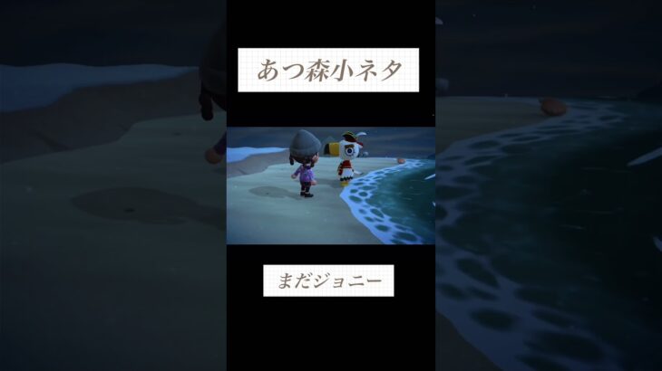 【あつ森】ジョニーとかいぞくは同一人物！？ジョニーからかいぞくに変わる瞬間 #あつ森 #あつまれどうぶつの森