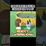 【あつ森】あらゆる手段で配信に映りたがるジャック
