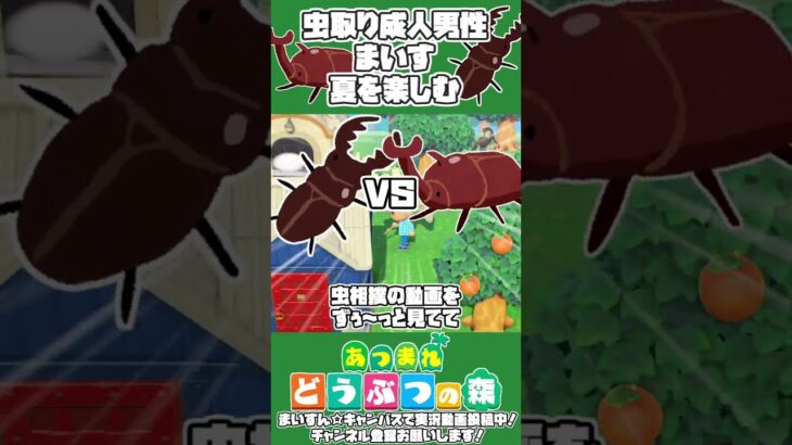 【#あつ森】虫取り成人まいす、夏を満喫する #ゲーム実況 #あつまれどうぶつの森 #ゲーム #ゲーム実況
