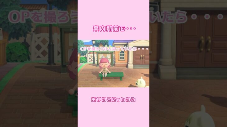 【あつ森】案内所前でジュンくんと・・・