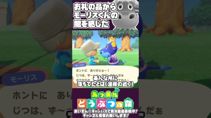 【#あつ森】お礼の品からモーリスくんの闇を見出す男 #ゲーム実況 #あつまれどうぶつの森 #ゲーム #ゲーム実況