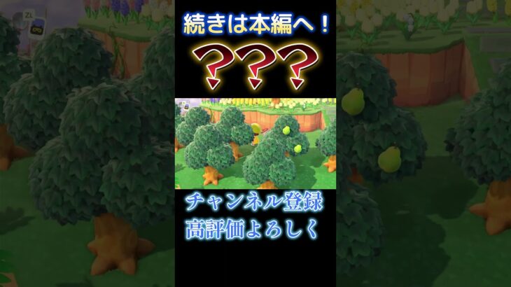 ごめん、バグっちゃったみたい。 #あつ森 #あつまれどうぶつの森 #ゲーム実況