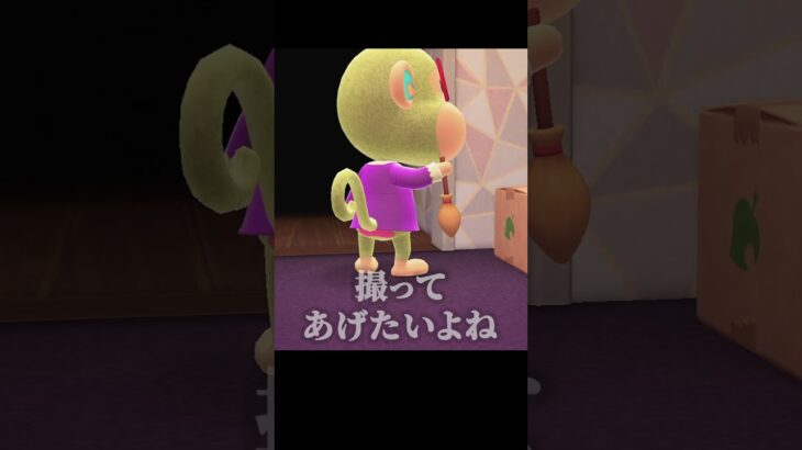 モンこのコレ知ってた？【あつ森】
