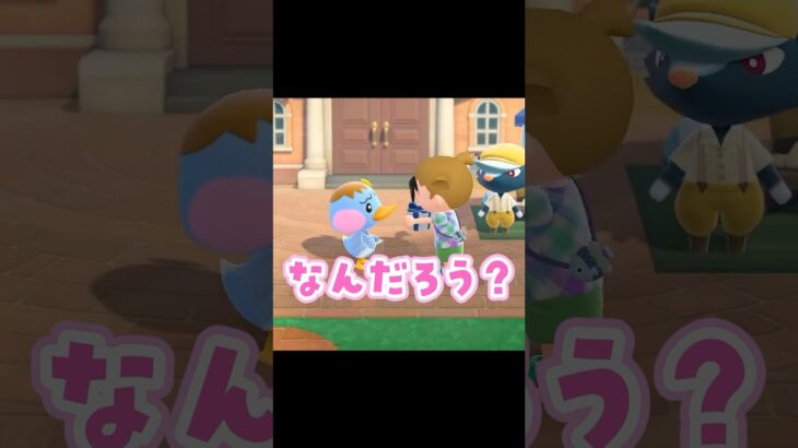 【あつ森】驚きの展開！住民からのサプライズ？ #あつ森 #あつまれどうぶつの森