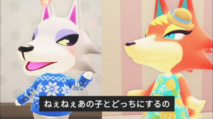 あつ森番 どっちにするの？