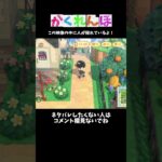 見つけられるかなー？【あつ森】